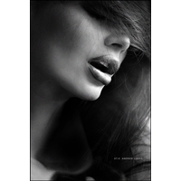 master portrait_69-IPewQvt5EQrmXMwl8trvpEznut0gd8Dw.jpg